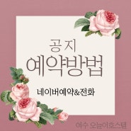 ★네이버예약 오픈★ 여수 오늘이호스텔 예약방법