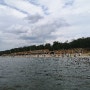 베를린 가볼만한 곳 호수 반제 Wannsee