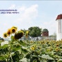 수원 탑동시민농장 - 해바라기와 연꽃과 코스모스, 수원 여행