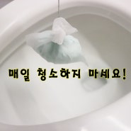 유통기한 지난 치약 똑똑한 치약활용법! 화장실 변기 청소
