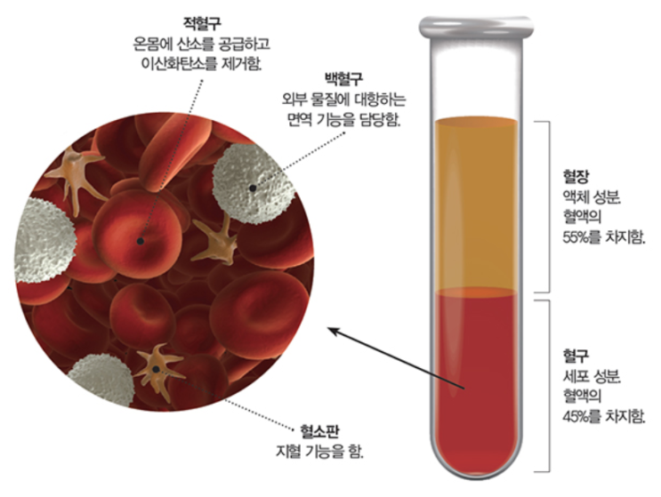 [생로병사의 비밀 리뷰] E744 혈액의 경고, 빈혈 1편 : 네이버 블로그
