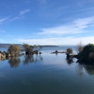 [뉴질랜드여행]로토루아(Rotorua) 1박2일 여행기