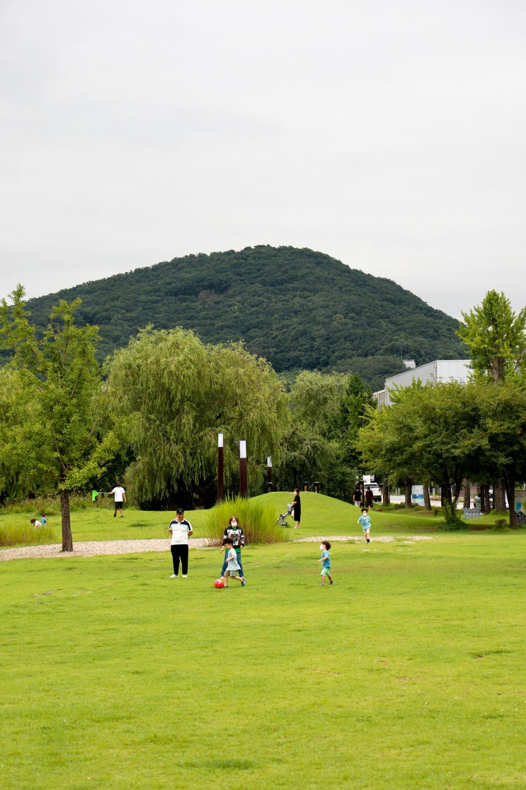 아이들과 뛰어놀기 좋은 작은 공원 - 파주출판단지근린공원
