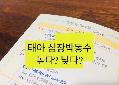 태아 심장박동수 높을때 낮을때 위험한 상황은? (+태아 심정지와 nst검사) : 네이버 블로그