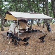 [2020.8.14-16] 강릉 연곡해변 솔향 캠핑장, 오랜만에 하는 캠핑