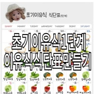 초기 이유식 시작!! 초기이유식 식단표 만들었어요 ♥