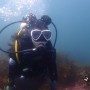 제주도다이빙| 블루인다이브 8월 21일 문섬 펀다이빙