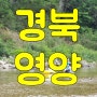경북 영양 수하계곡에서 여름휴가 가족여행