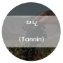 [와인 기초] 와인의 특징 3편 - 타닌(Tannin)