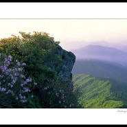 지리산 국립공원.7