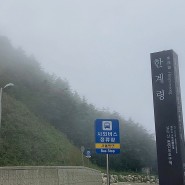 강원도 양양 가볼만한곳: 설악산 한계령 휴게소 강추! with 직행버스 시간표 (╹◡╹)