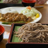 부산 사하구 당리동 수제돈까스&모밀국수 맛집, 늘솜!