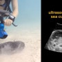 세계최초 해양생물 초음파 듀오스캔고(Duo-scan Go).물고기,어류 수중초음파