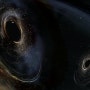 상대성이론이 펼치는 우주론 (1)블랙홀