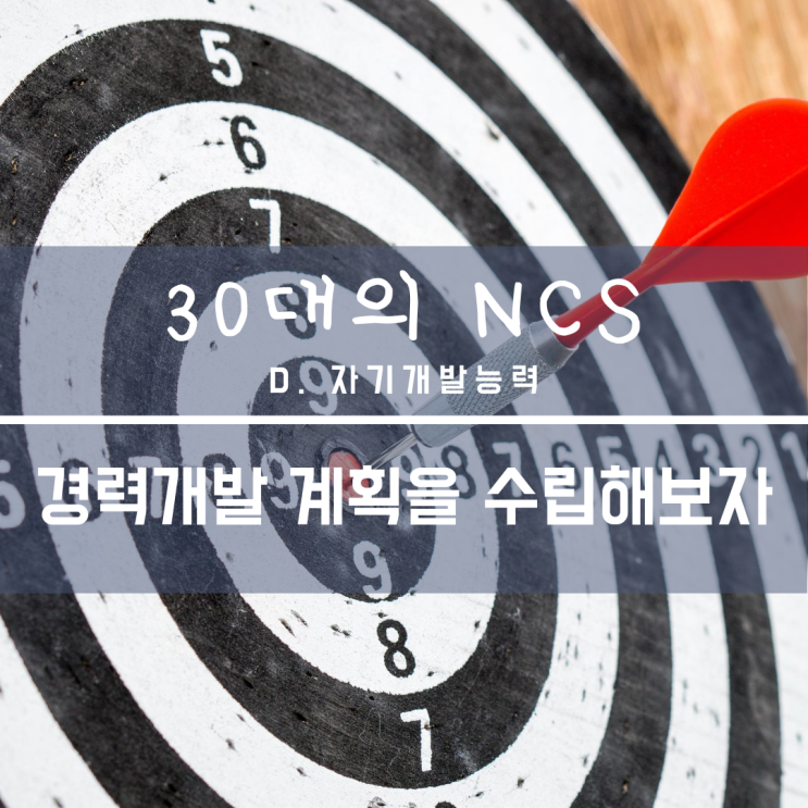 D-2-다. 경력개발능력 / B3. 경력개발 계획을 수립해보자 : 네이버 블로그