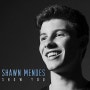 [노래 공유] Shawn Mendes - Show You 신나는 노래 활기찬 팝송 Pop song 추천 코로나 블루 극복 음악