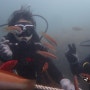 제주도다이빙| 블루인다이브 8월 28일 범섬 체험다이빙