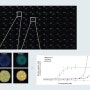 High Content Imaging 을 활용한 약물의 독성 스크리닝: 3D Spheroid Model 을 이용한 Cancer Therapeutic Screening 사례