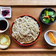 [경복궁역 맛집] 서촌 "노부"의 에도 마에 소바를 아시나요? - 정통 동경식 메밀면을 맛볼 수 있는 가게, 그곳의 냉소바와 마소바를 소개합니다