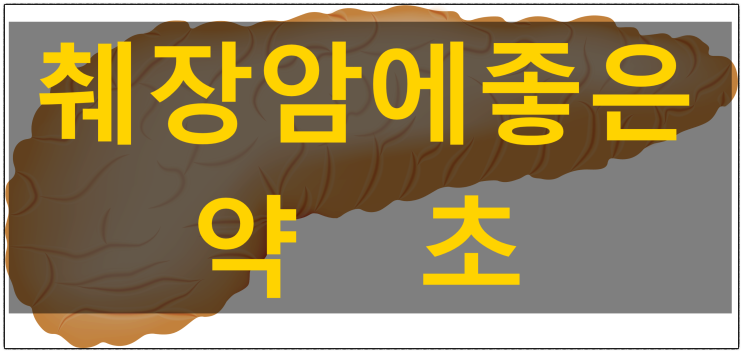 췌장암에 좋은 약초 세 가지 소개와 그 약초가 좋은 영향을 주는 지에 안 주는지에 대한 확인법 : 네이버 블로그
