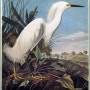The Birds of America 2 _John James Audubon