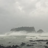 제9호 태풍 마이삭 실시간 in 제주