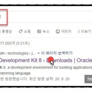 [JDK] Java SE Development Kit 8u261 32bit 설치하기