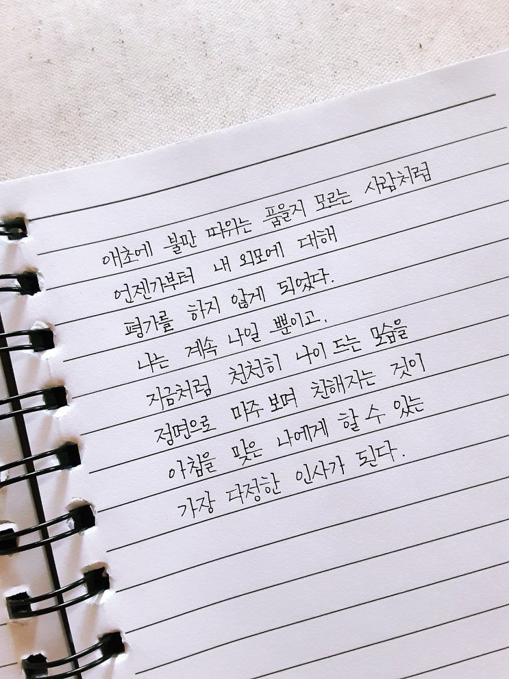 잘 쓴 글씨를 보면, 글씨 잘 쓰는 법이 보인다! : 네이버 블로그