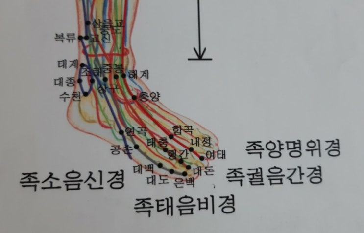 발마사지 발지압 : 네이버 블로그