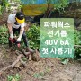 파워웍스 40V 6A 다이렉트 전기톱 첫 사용기! 뒷마당 나무들 벌목했어요!! ㅎㅎ;