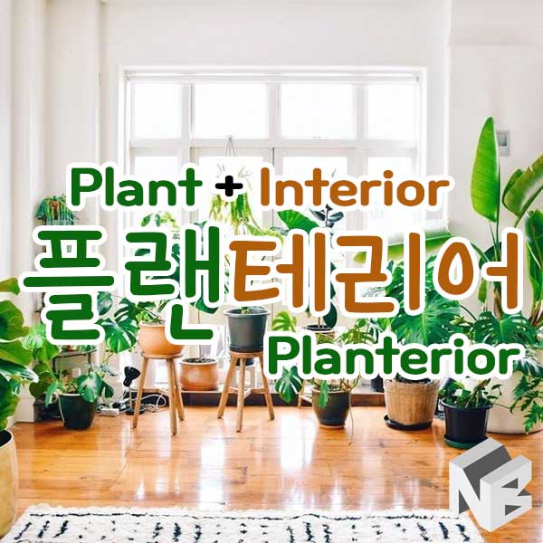 [인테리어 이야기] 실내의 작은 정원, 식물 인테리어 (Planterior) : 네이버 블로그