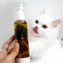 [ 고양이 영양제 ] 건강하고 안전한 펫 올리브오일 후기