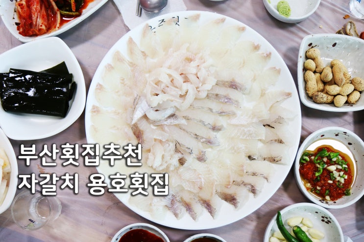 (부산횟집 추천) 자갈치시장 모듬회 맛집 후기 + 가격 시세표 : 네이버 블로그