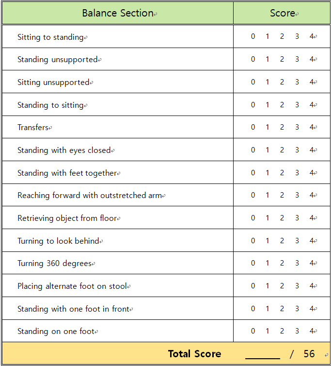버그균형척도 BBS (Berg Balance Scale) 네이버 블로그