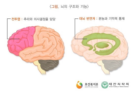 경도 인지장애란? 경도 인지 기능장애와 최소인지 기능장애 : 네이버 블로그