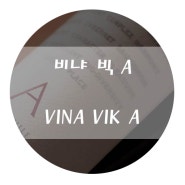 [와인 소개] 칠레 레드와인 추천 - 비냐 빅 A ( VINA VIK A )