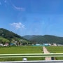 [국내여행] 경상남도 남해 / 💙🐬여름휴가 1탄🌴💚