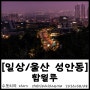 [일상/울산 성안동] 함월루, 울산 야경 명소, 울산 가볼 만한 곳, 함월루 야경