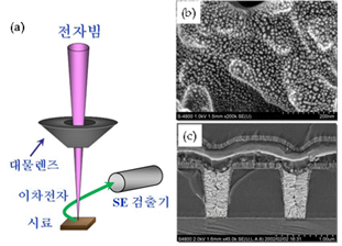 주사전자현미경 이미지