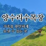 양수리수목장 자연을 품은 곳!