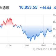 시노팜관련주 ; 정치관련주 ; 미국 화웨이 제재 ; 대체육관련주 - 오늘아침 장전시황!