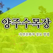 양주수목장 자연친화적 장묘 방법