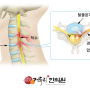 [춘천 팔저림 한의원] 팔이 저린데 목디스크인가요? 치료는 어떻게 하나요?