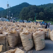 2020년 건고추 수매