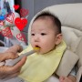 아베크파파:: 생후 6개월 초기이유식 먹는양, 보관방법 등