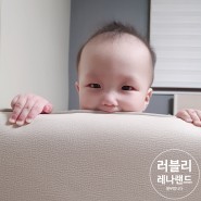 [레나의 육아일기] 7개월 아기 잠투정 잠과의 전쟁중 7개월아기 발달 공유 혼자 앉기 잡고 서기 시작 !