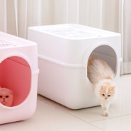 【판매중】 뚜껑있는 고양이화장실 "냥변기"