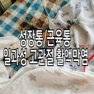 아이성장통, 아이근육통, 다리쩔뚝임, 일과성 고관절 활액막염 빨리 정형외과가세요ㅠ