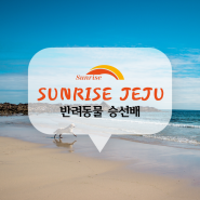 SUNRISE는 반려동물과 함께 승선가능한 여객선입니다