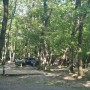 가야산국립공원 삼정야영장 금요일 가면 좋은 대구 가까운 캠핑장